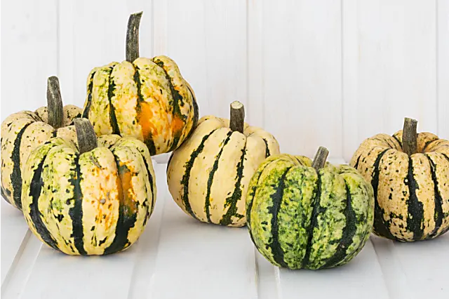 COURGE Patidou - 400 g - 2,90 €/kg -